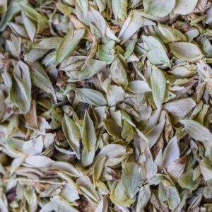 ORIGAN FEUILLE ENTIERE AB