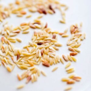 ORZO OU RISONI TRADITIONNELS BIO