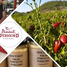FARINE DE NOIX DU PERIGORD SANS GLUTEN - PIMENT PERIGORD – Image 4
