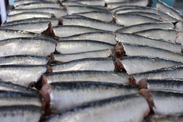 PETITES SARDINES SPRATS AU NATUREL PAUVRE EN SEL 105g - FISH4EVER – Image 4