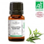 HUILE ESSENTIELLE EUCALYPTUS RADIE AB 10ML - MY COSMETIK