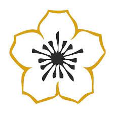 BOITE EMPILABLE WASHI 100G ESPRIT CELADON – Image 11