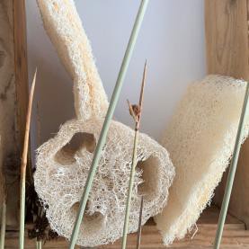 LOOFAH EPONGE VEGETALE TAILLE M - CHAMARREL