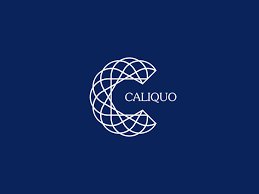 BLAIREAU EN BOIS DE NOYER - CALIQUO – Image 2