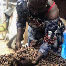 BEURE DE KARITE BIOLOGIQUE & EQUITABLE EN VRAC - YOKOUMI – Image 3