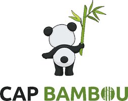 BROSSE A CHEVEUX DEMELANTE PLATE EN BAMBOU - CAP BAMBOU – Image 5