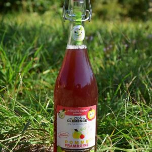 PETILLANT POMME FRAMBOISES AB DEMETER 75CL- FAMILLE TEULET