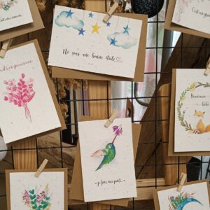 CARTES POSTALES A ENSEMENCER