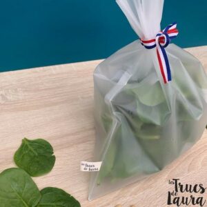 SAC CONGELATION REUTILISABLE