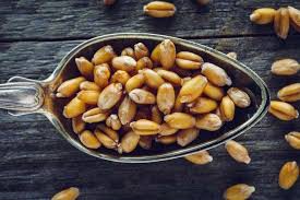 PETIT EPEAUTRE BIOLOGIQUE IGP HAUTE PROVENCE