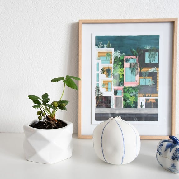 POT ORIGAMI FRAISIER DES BOIS AB – Image 2