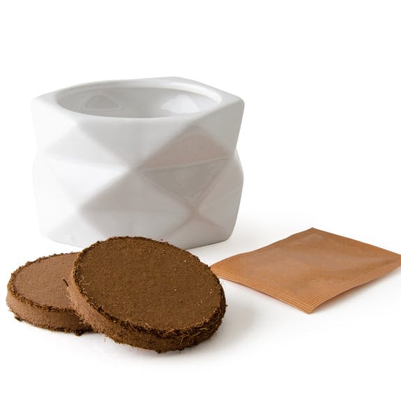 POT ORIGAMI FRAISIER DES BOIS AB – Image 3