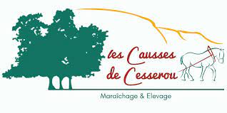 COTE DE PORC AB X3 PIECES (ENVIRON 450g) - TRADITIONS CHARCUTIERES BIO – Image 4