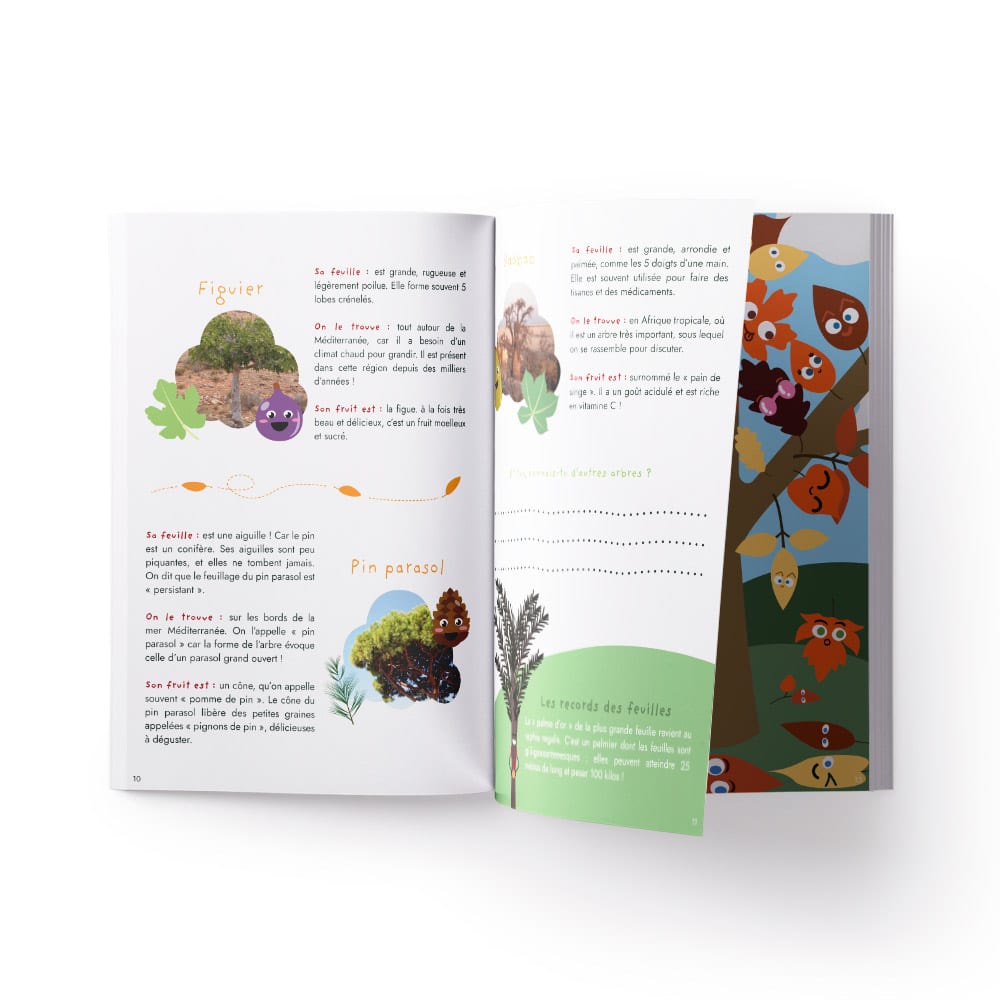 LES CARNETS NATURE : LES SECRETS DES FEUILLES – Image 2