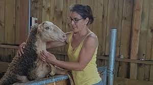 MIJOTE DE BREBIS AUX EPICES DOUCES AB