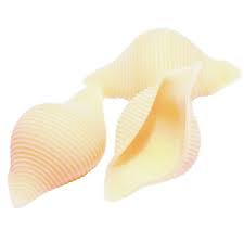 CONCHIGLIE BIOLOGIQUES (ou pâtes COQUILLAGES) ITALIE