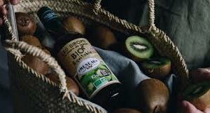 SIROP DE CANNE KIWI BIOLOGIQUE DU SUD-OUEST VRAC - MENEAU