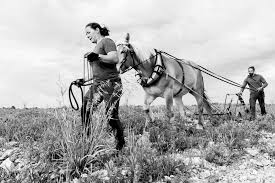 RATAFIA ROUGE AB DE MALBEC 16,5% - 75CL - MAS DEL PERIE – Image 3