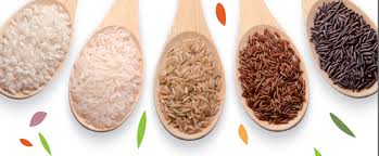 RIZ ROND COMPLET AB IGP CAMARGUE – Image 5