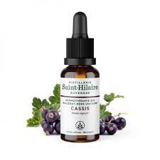 MACERAT-MERE DE CASSIS BIO 30ML - SAINT-HILAIRE