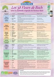 FLEURS DE BACH OLIVIER BIO N°23 20ML - BIOFLORAL – Image 5