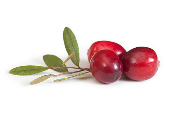 JUS DE CRANBERRY AB SANS SUCRE AJOUTE 50CL - NATUR'AVENIR – Image 2
