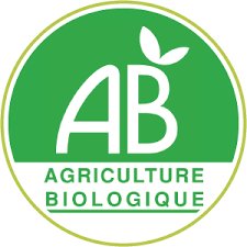 PROSECCO BIO FRIZZANTE DOP 75CL - OSTERIA ITALIE – Image 2