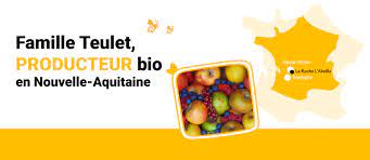 LIMONADE ARTISANALE BIO 75CL - FAMILLE TEULET – Image 2