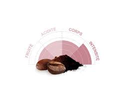 CAFE EQUATEUR TERROIR DE LOJA AB - CAFE MICHEL – Image 3