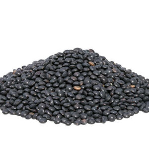 LENTILLES BELUGA NOIRES BIO Origine PICARDIE - ELORA