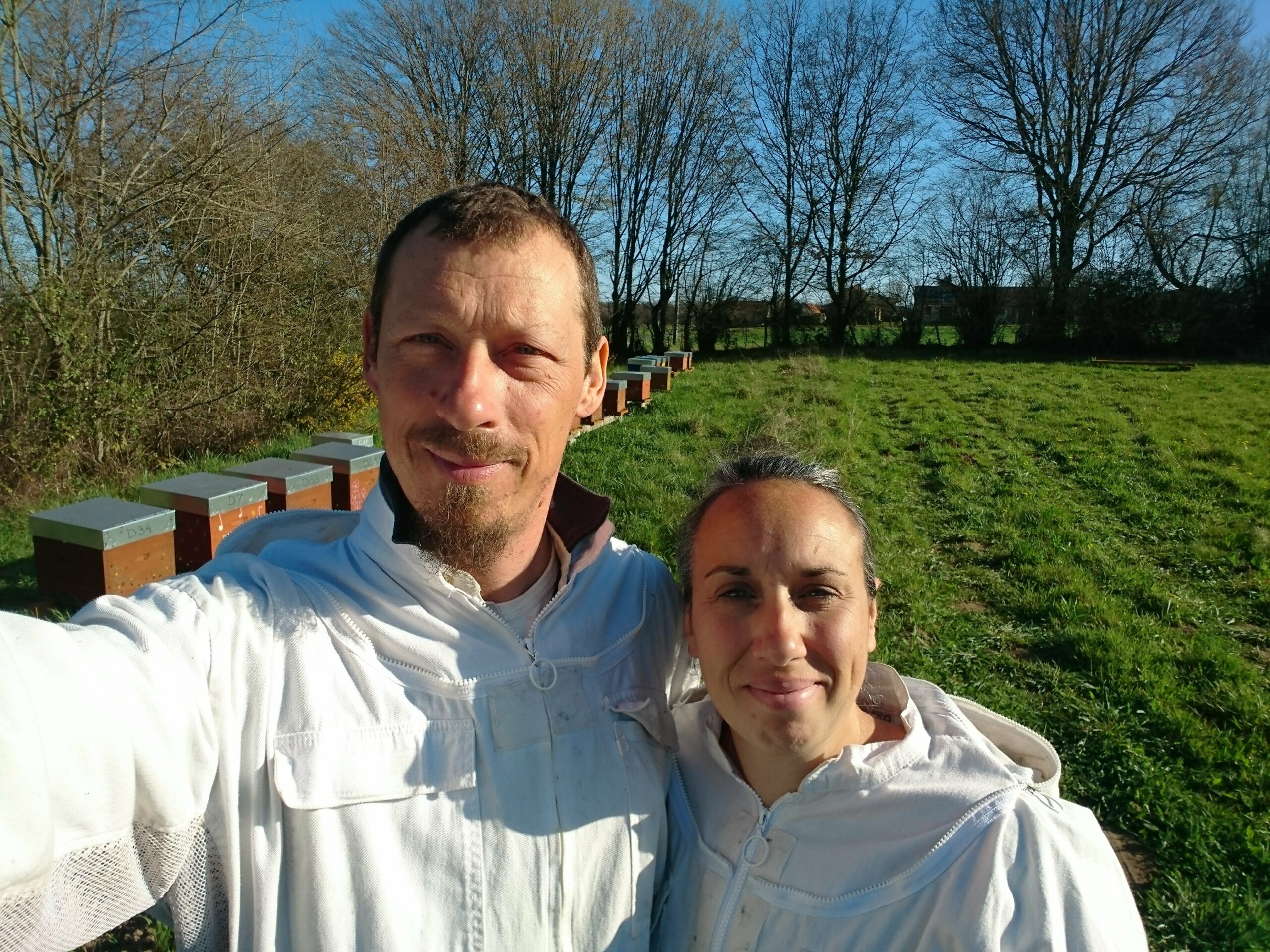 MIEL ET PROPOLIS BIO 250G - LES RUCHES DE LIZA – Image 4