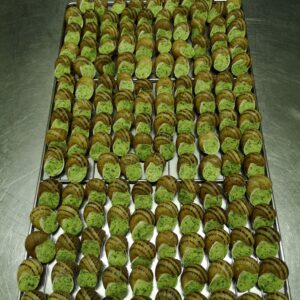 ESCARGOTS COQUILLES A LA BOURGUIGNONNE BIO (DOUZAINE) - MELI-MELO D'ESCARGOTS