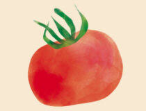 HARICOTS COCO CUISINES A LA TOMATE & PETITS LEGUMES 690G - PROSAIN – Image 3