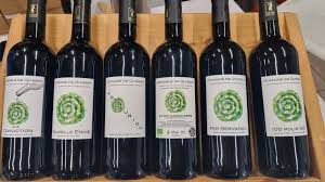 FER SERVADOU AB & SANS SULFITES IGP AGENAIS 75CL - DOMAINE DE QUISSAT – Image 2