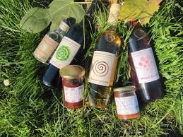 FER SERVADOU AB & SANS SULFITES IGP AGENAIS 75CL - DOMAINE DE QUISSAT – Image 3