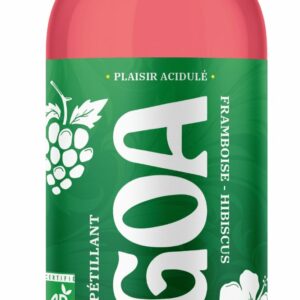 KOMBUCHA FRAMBOISE HIBISCUS BIO 1L - BRASSERIE DE GOA