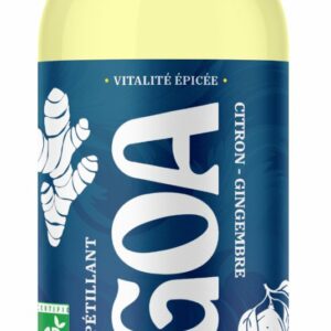 KOMBUCHA CITRON GINGEMBRE BIO 1L - GOA