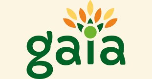 BOULETTES POIS CHICHES GERMEES A L'ORIENTAL BIO 190g - GAÏA – Image 3