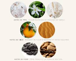 PARFUM SOLIDE S'EMERVEILLER DE TOUS PETITS RIENS AB & VEGAN 15G - LES HAPPYCURIE – Image 4