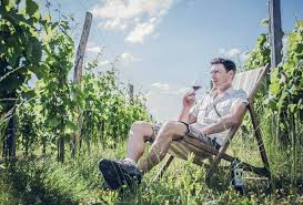 HAUT BENAUGE BLANC BIO 2022 75CL ENTRE DEUX MERS - CHÂTEAU FERRAN ST PIERRE – Image 3