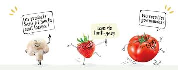 SMOOTHIE FRAISE ANTI GASPI 250ML - SAINS & SAUFS – Image 3