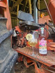 PICADIS BIO 70CL - VERMOUTH DE ROSETTE - COMBRILLAC & DISTILLERIE DE L'ORT – Image 3