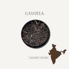 THE NOIR QUINTESSENCE FRUITEE BIO & ECORESPONSABLE - GAYOTEA – Image 3