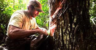 CHEWING GUM BIODEGRADABLES CHICZA CITRON BIO 30G – Image 3