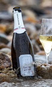 BLANC DE BLANCS EFFERVESCENT BRUT BIO 75CL VDF - BRESSET-MOREL – Image 2