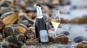 BLANC DE BLANCS EFFERVESCENT BRUT BIO 75CL VDF - BRESSET-MOREL – Image 3