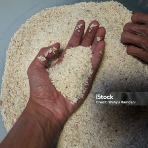 BRISURES DE RIZ BLANC BIO