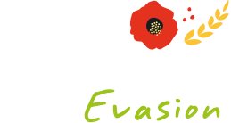 GYOZA LEGUMES ET GINGEMBRE BIO & VEGAN 200G - COQUELICOT EVASION – Image 2