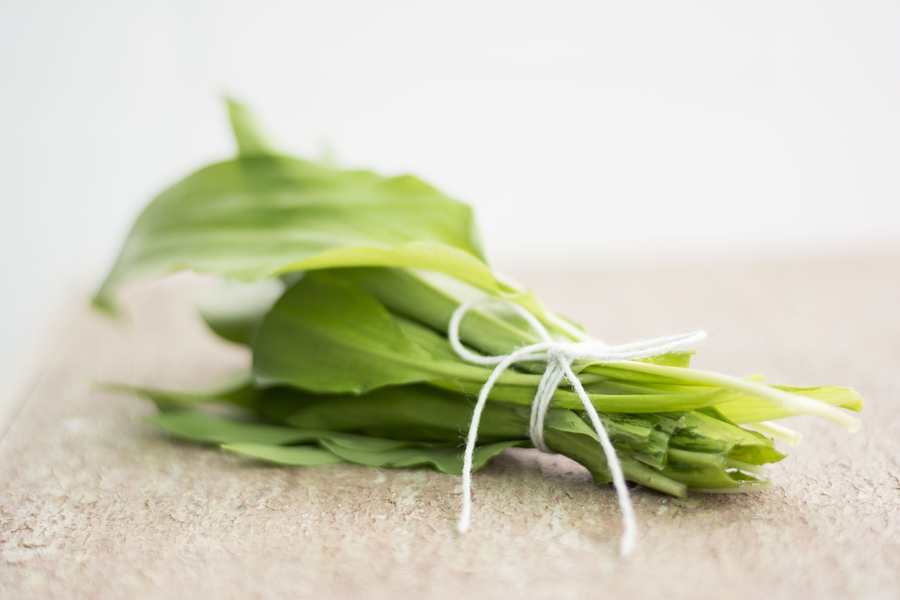 AIL DES OURS FRAIS DANS L'HUILE BIO 165G - BIO VERDE – Image 3