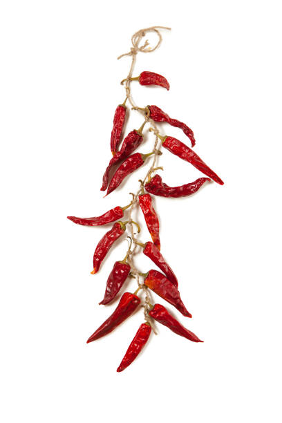 TARTINABLE CACAHUETES PIMENT D'ESPELETTE AOP BIO 100G - GO NUTS – Image 4